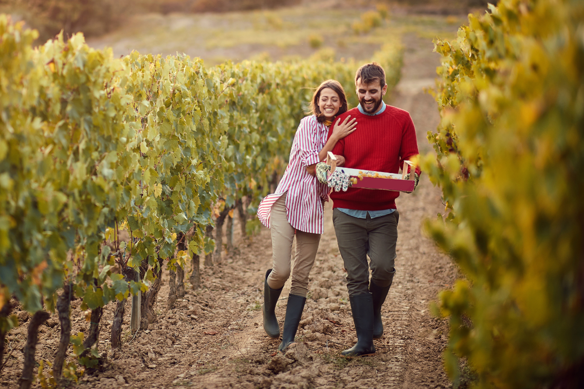 Happy Couple Walking Through A Vineyard 1200X800