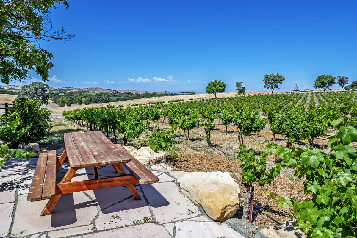 Wine Country Picnic Table 1200X800